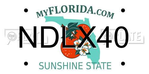 NDLX40 Florida License Plate