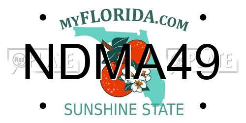 NDMA49 Florida License Plate