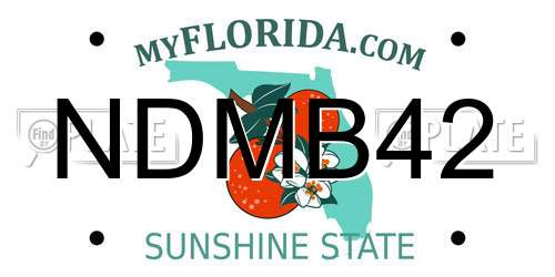 NDMB42 Florida License Plate