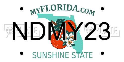NDMY23 Florida License Plate