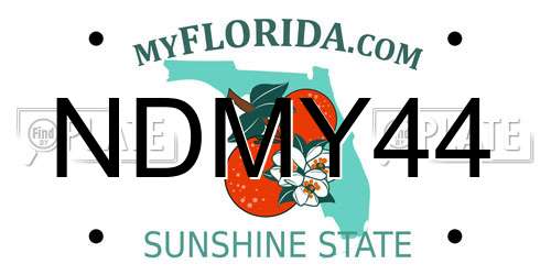 NDMY44 Florida License Plate