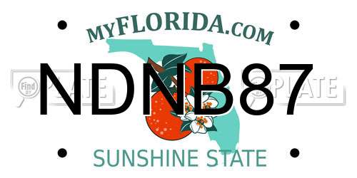NDNB87 Florida License Plate