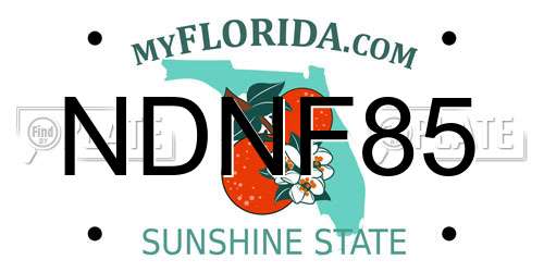 NDNF85 Florida License Plate