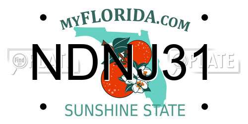 NDNJ31 Florida License Plate