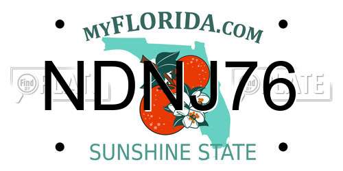 NDNJ76 Florida License Plate