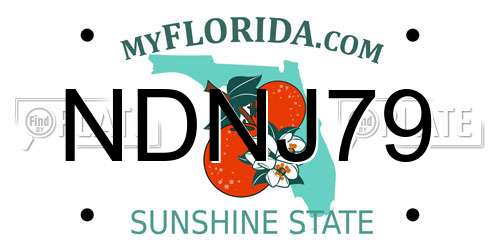 NDNJ79 Florida License Plate