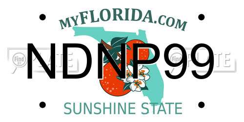 NDNP99 Florida License Plate