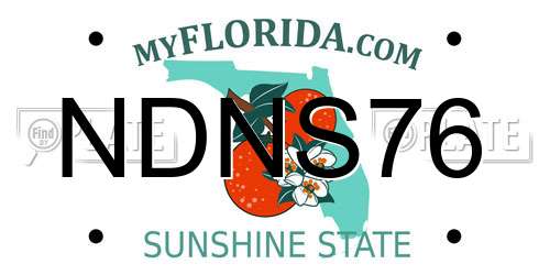 NDNS76 Florida License Plate