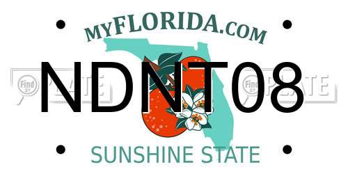 NDNT08 Florida License Plate