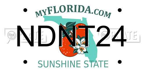 NDNT24 Florida License Plate