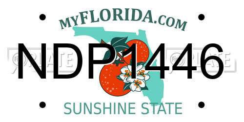NDP1446 Florida License Plate