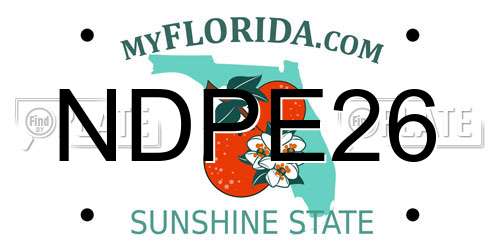 NDPE26 Florida License Plate