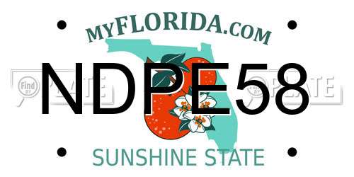NDPE58 Florida License Plate