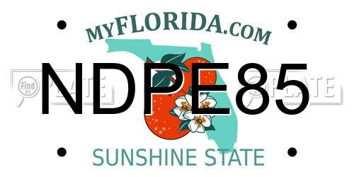 NDPE85 Florida License Plate
