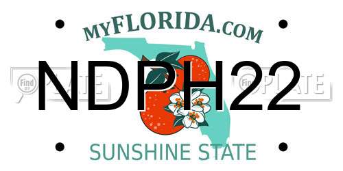 NDPH22 Florida License Plate