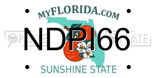 NDPI66 Florida License Plate