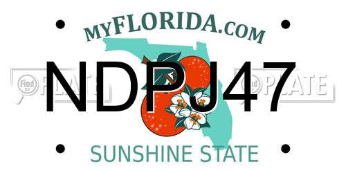 NDPJ47 Florida License Plate