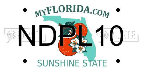 NDPL10 Florida License Plate