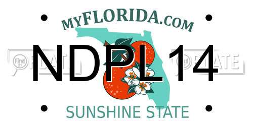 NDPL14 Florida License Plate