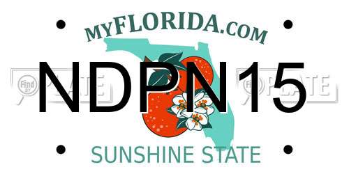 NDPN15 Florida License Plate