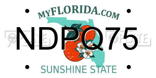 NDPQ75 Florida License Plate