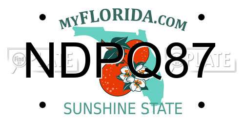 NDPQ87 Florida License Plate