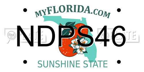 NDPS46 Florida License Plate