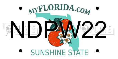 NDPW22 Florida License Plate
