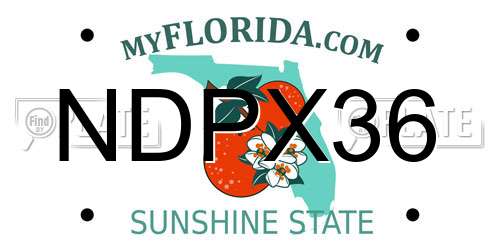 NDPX36 Florida License Plate