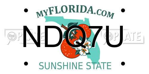 NDQ7U Florida License Plate
