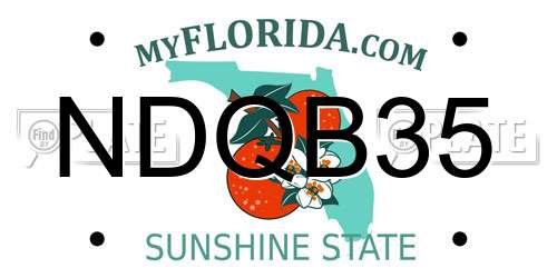 NDQB35 Florida License Plate