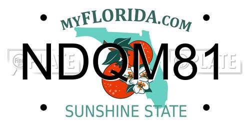 NDQM81 Florida License Plate