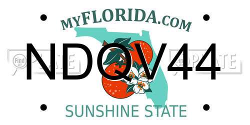 NDQV44 Florida License Plate