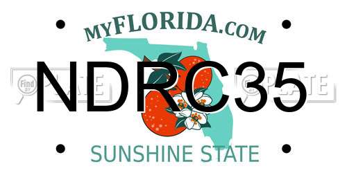 NDRC35 Florida License Plate