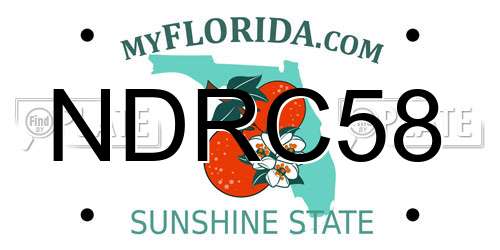 NDRC58 Florida License Plate