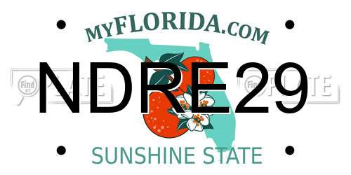 NDRE29 Florida License Plate