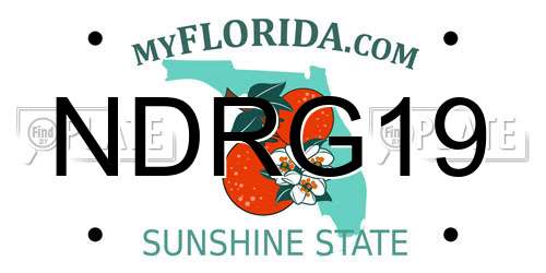NDRG19 Florida License Plate