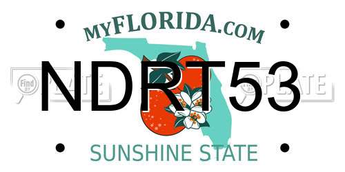 NDRT53 Florida License Plate