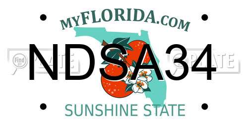 NDSA34 Florida License Plate