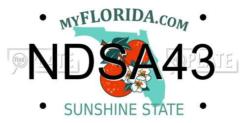 NDSA43 Florida License Plate