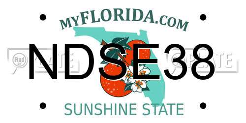 NDSE38 Florida License Plate
