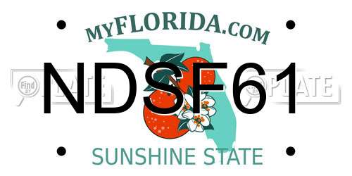 NDSF61 Florida License Plate