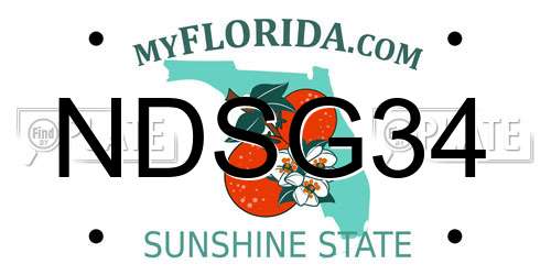 NDSG34 Florida License Plate