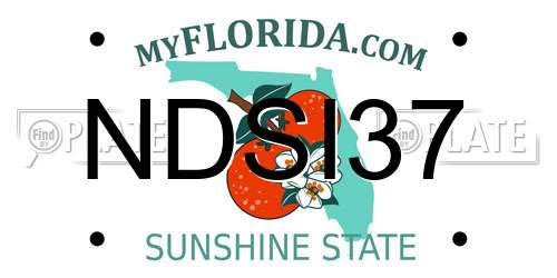 NDSI37 Florida License Plate