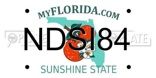 NDSI84 Florida License Plate