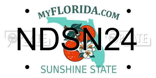 NDSN24 Florida License Plate