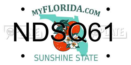 NDSQ61 Florida License Plate
