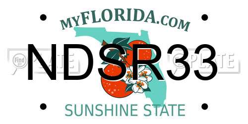 NDSR33 Florida License Plate