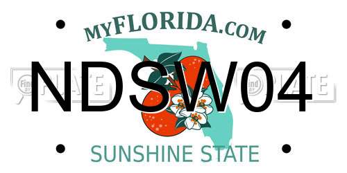 NDSW04 Florida License Plate