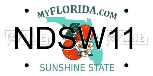 NDSW11 Florida License Plate